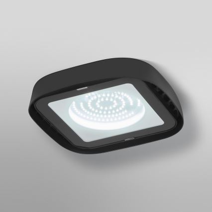 Ledvance - LED lubinis industrinis apšvietimas HIGHBAY LED/80W/230V IP65 6500K