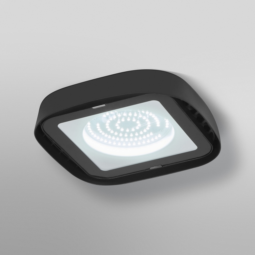 Ledvance - LED lubinis industrinis apšvietimas HIGHBAY LED/80W/230V IP65 6500K