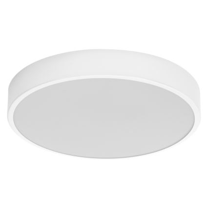 Ledvance - LED lubinis šviestuvas ORBIS SLIM LED/20W/230V balta