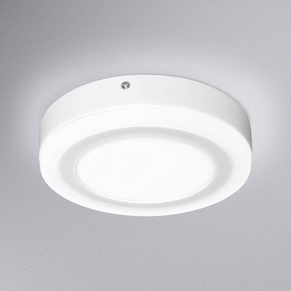 Ledvance - LED Lubinis šviestuvas ROUND LED/15W/230V d. 20 cm