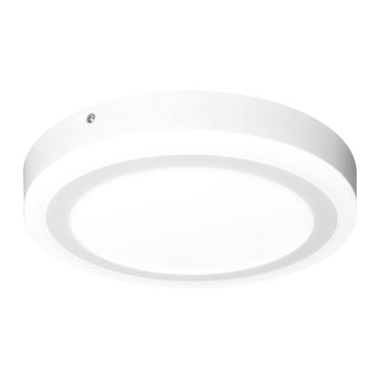 Ledvance - LED Lubinis šviestuvas ROUND LED/18W/230V d. 30 cm