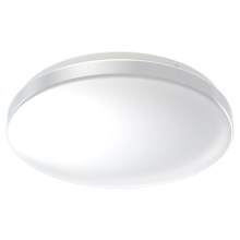Ledvance - LED lubinis vonios šviestuvas su jutikliu CEILING ROUND LED/24W/230V IP44