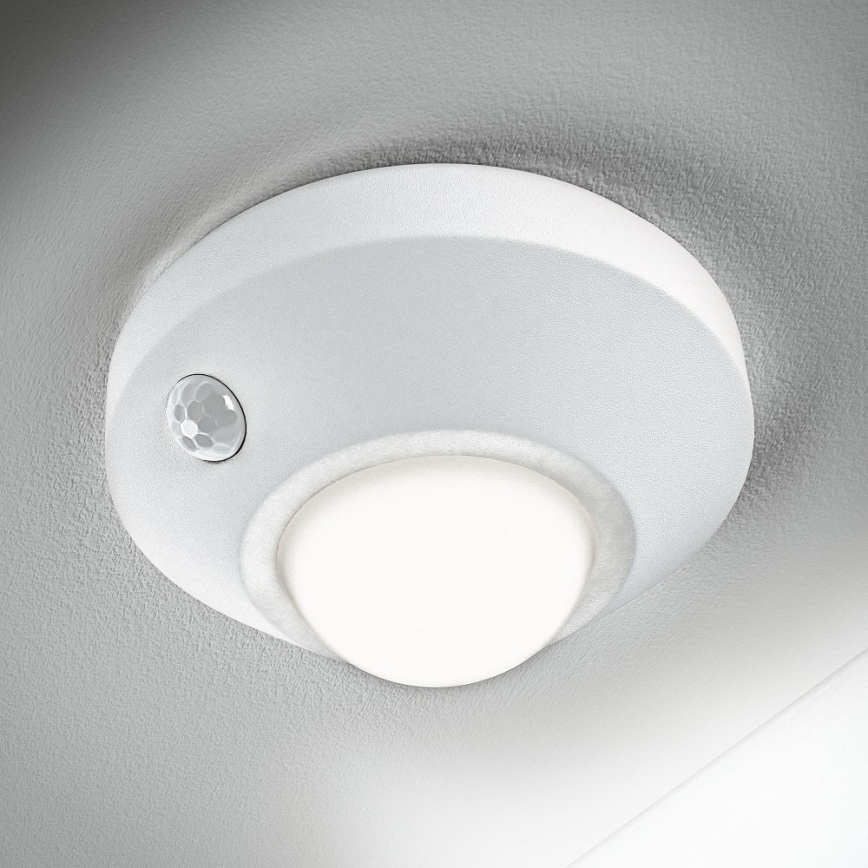 Ledvance - LED naktinis šviestuvas su jutikliu NIGHTLUX LED/1,7W/3xAA 4000K