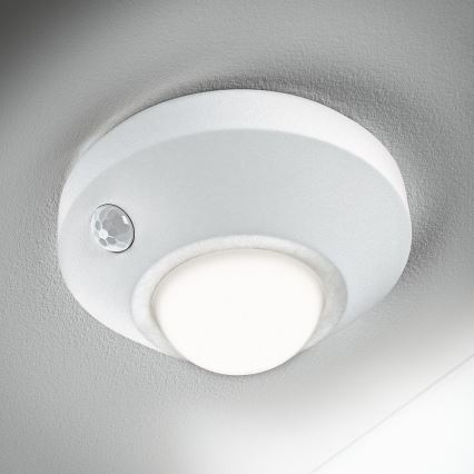Ledvance - LED orientacinis šviestuvas su jutikliu NIGHTLUX LED/1,7W/3xAA 4000K