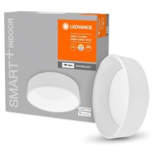 Ledvance - LED Pritemdomas lubų šviestuvas SMART + CYLINDER LED / 24W / 230V