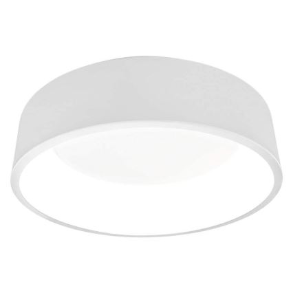 Ledvance - LED Pritemdomas lubų šviestuvas SMART + CYLINDER LED / 24W / 230V