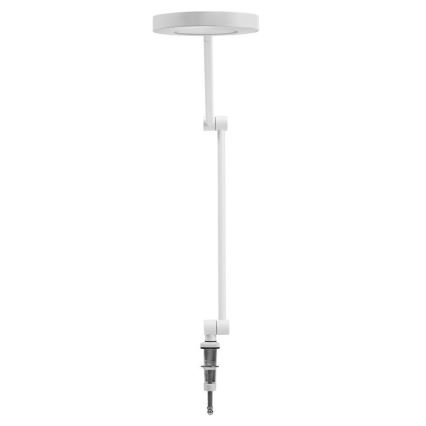 Ledvance - LED Pritemdomas šviestuvas su segtuku SUN@HOME LED/15W/230V 2200-5000K CRI 95 Wi-Fi