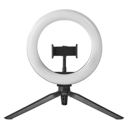 Ledvance - LED pritemdomas stalinis šviestuvas su stovu ir laikiklis video vlogams LED/5,5W/USB 3000/4000/6500K