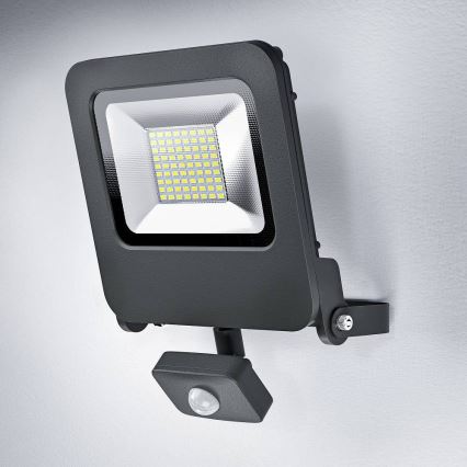 Ledvance - LED prožektorius su jutikliu ENDURA LED/50W/230V IP44