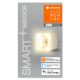 Ledvance - LED Reguliuojamas išmanusis lizdas su šviestuvu SMART+ KIŠTUKAS 3680W Wi-Fi