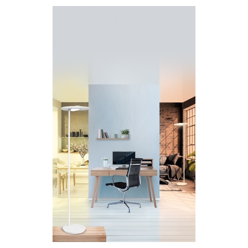 Ledvance - LED Reguliuojamas toršeras SUN@HOME LED/36W/230V 2200-5000K CRI 95 Wi-Fi