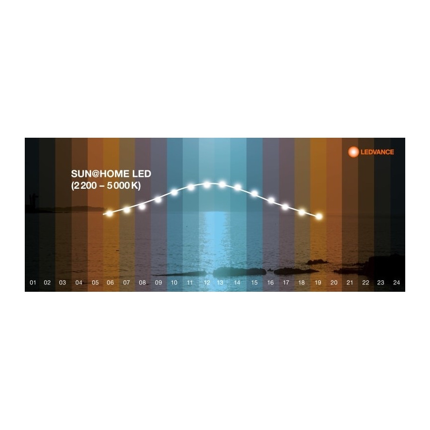 Ledvance - LED Reguliuojamas toršeras SUN@HOME LED/36W/230V 2200-5000K CRI 95 Wi-Fi