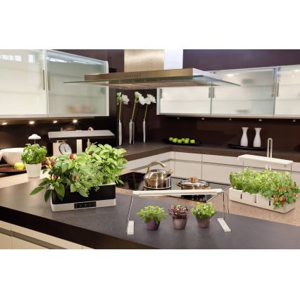 Ledvance - LED Reguliuojamas vidaus augalų šviestuvas GARDEN KIT LED/24W/230V