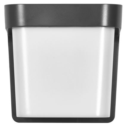 Ledvance - LED sieninis lauko šviestuvas ENDURA STYLE IHSAN LED/11W/230V IP65