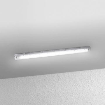 Ledvance - LED Techninis fluorescencinis šviestuvas SUBMARINE 1xG13/16W/230V IP65