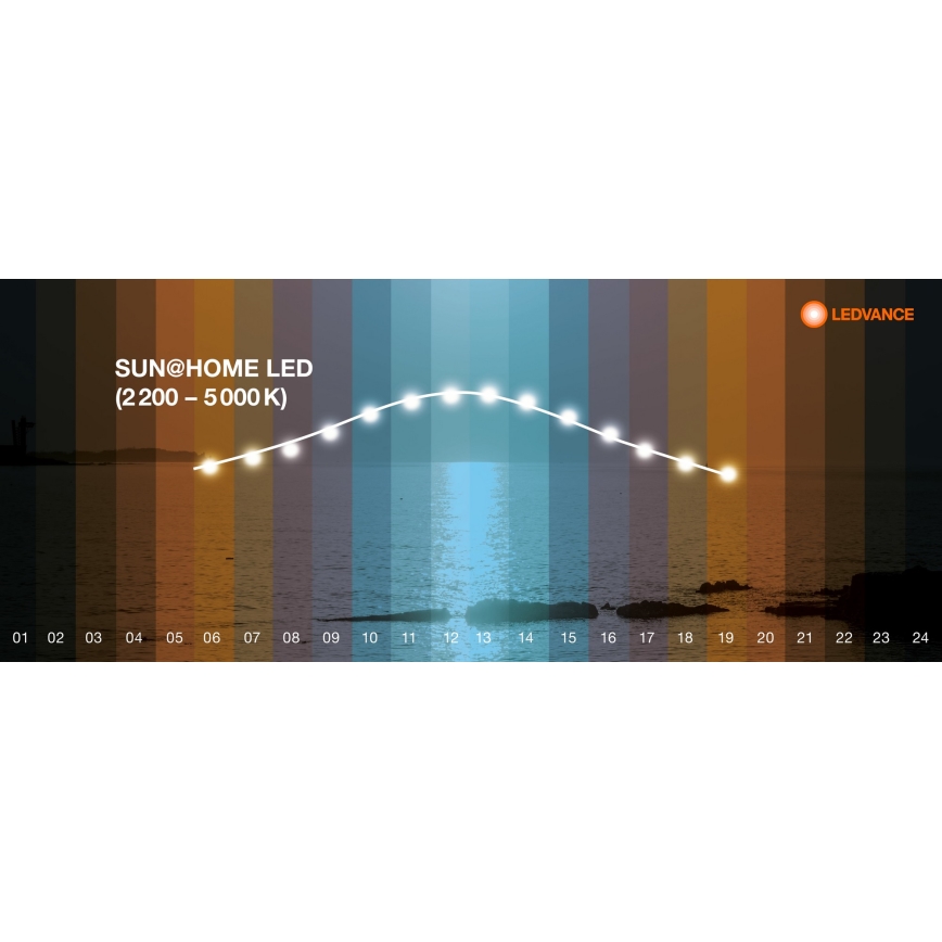 Ledvance - LED reguliuojamas šviestuvas SUN@HOME LED/35W/230V 2200-5000K CRI 95 Wi-Fi