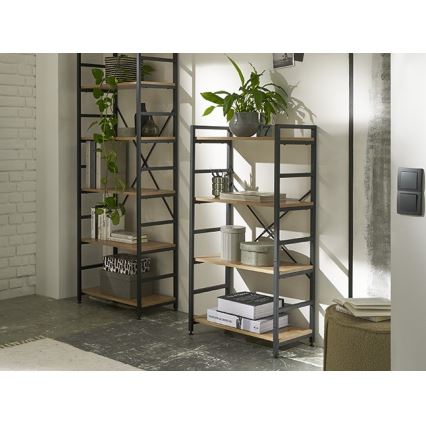 Lentyna MEDDIE ąžuolas