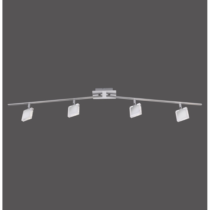 Leuchten Direkt 11084-55 - LED akcentinis šviestuvas TONY 4xLED/4W/230V