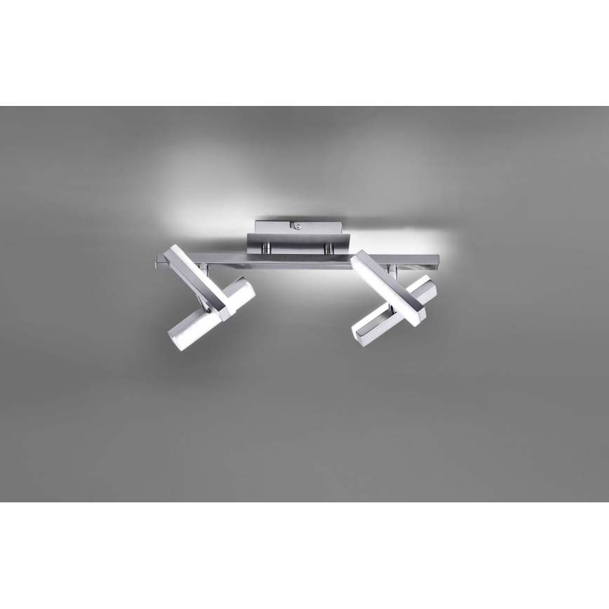 Leuchten Direkt 11277-55 - LED Akcentinis šviestuvas RICO 4xLED/2W/230V