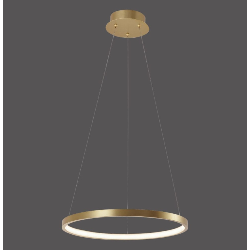 Leuchten Direkt 11522-12 - LED Ant virvės kabinamas lubinis šviestuvas CIRCLE LED/19W/230V