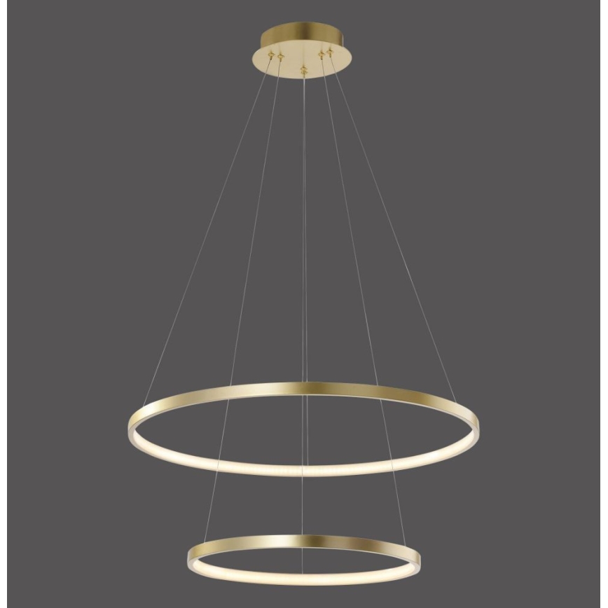Leuchten Direkt 11525-12 - LED Ant virvės kabinamas lubinis šviestuvas CIRCLE 1xLED/18,5W/230V + LED/23,5W