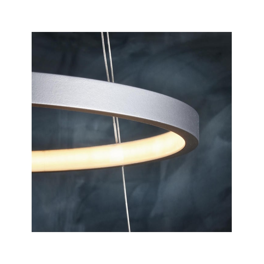 Leuchten Direkt 11525-21 - LED sietynas, kabinamas ant virvės CIRCLE 1xLED/15W/230V + LED/25W