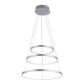 Leuchten Direkt 11526-55 - LED dimeriuojama pakabinama liustra ant laido CIRCLE LED/13,5W/230V + LED/19,5W + LED/24W