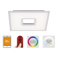 Leuchten Direkt 11645-16 - LED RGB reguliuojamas įmontuojamas lubų šviestuvas RECESS LED/22,5W/230V + LED/5W + nuotolinio valdymo pultas