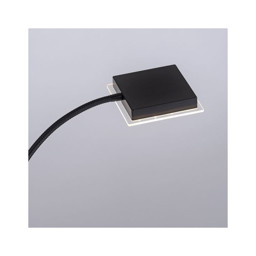 Leuchten Direkt 11710-18 - LED Reguliuojama lempa HANS LED/21,5W/230V + LED/4W