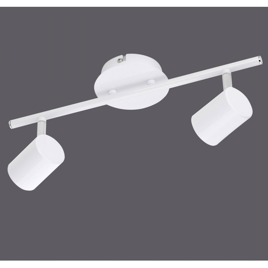 Leuchten Direkt 11942-16 - LED Akcentinis šviestuvas TARIK 2xGU10/5W/230V baltas