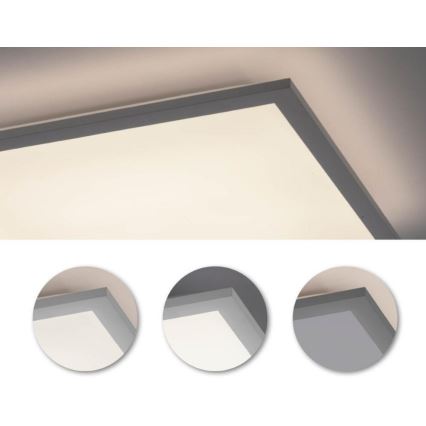 Leuchten Direkt 12201-16 - LED Lubinis šviestuvas FLAT LED/22W/230V