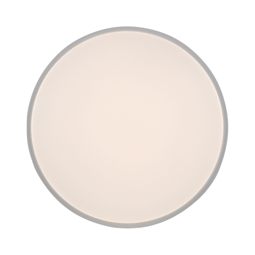 Leuchten Direkt 14209-16 - LED Reguliuojamas lubinis šviestuvas COLIN LED/32,4W/230V
