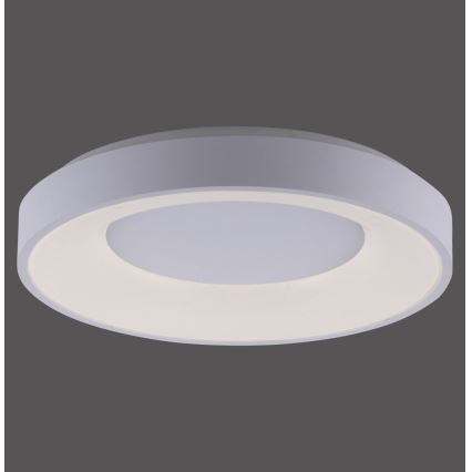 Leuchten Direkt 14326-16 - LED pritemdomas  šviestuvas ANIKA LED / 30W / 230V + Valdymo pultas