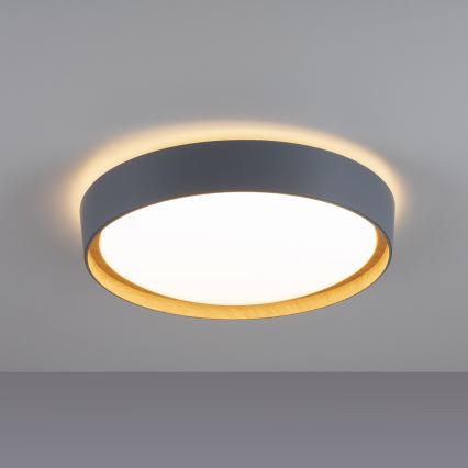 Leuchten Direkt 14347-15-LED Reguliuojamas lubinis šviestuvas EMILIA 28,8W/230V pilkas