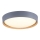 Leuchten Direkt 14347-15 - LED reguliuojamas lubų šviestuvas EMILIA LED/28,8W/230V pilka