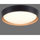 Leuchten Direkt 14347-18 - LED Reguliuojamas šviestuvas EMILIA LED/28,8W/230V juodas