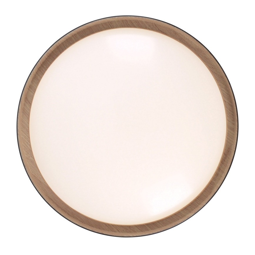 Leuchten Direkt 14347-18 - LED Reguliuojamas šviestuvas EMILIA LED/28,8W/230V juodas