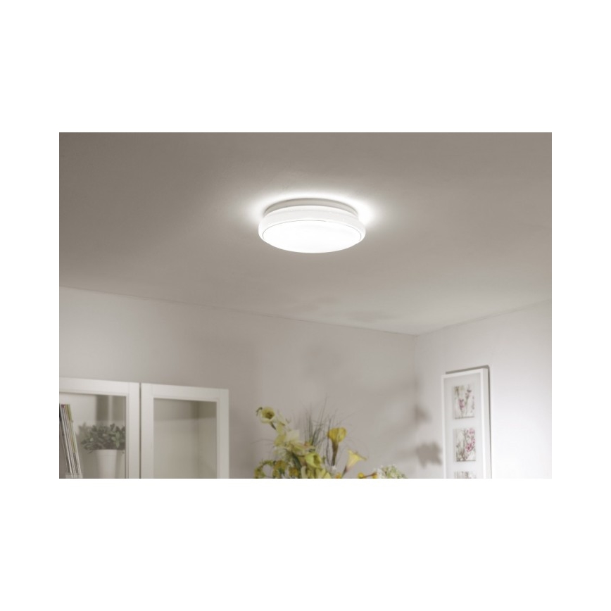 Leuchten Direkt 14362-16 - LED lubinis šviestuvas JUPITER LED/17W/230V 3000/4000/5000K