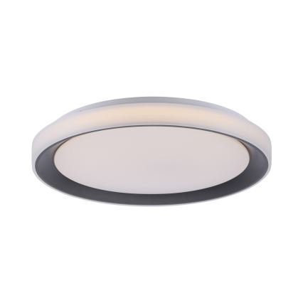 Leuchten Direkt 14659-18 - LED RGB pritemdomas šviestuvas LOLA LED / 24W / 230V Tuya + Valdymo pultas