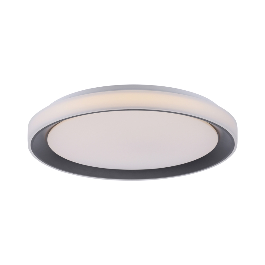 Leuchten Direkt 14659-18 - LED RGB pritemdomas šviestuvas LOLA LED / 24W / 230V Tuya + Valdymo pultas