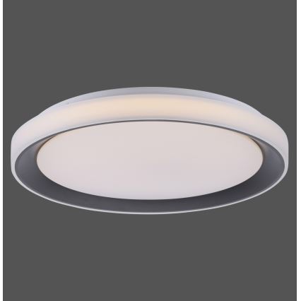 Leuchten Direkt 14659-18 - LED RGB pritemdomas šviestuvas LOLA LED / 24W / 230V Tuya + Valdymo pultas