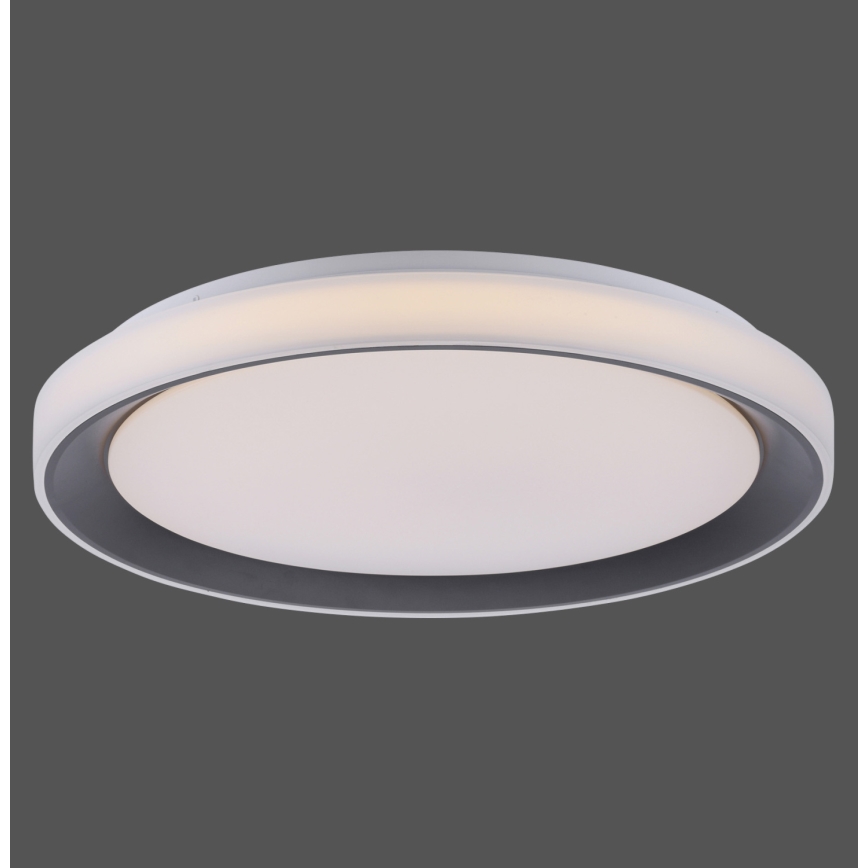 Leuchten Direkt 14659-18 - LED RGB pritemdomas šviestuvas LOLA LED / 24W / 230V Tuya + Valdymo pultas