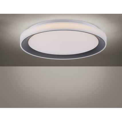 Leuchten Direkt 14659-18 - LED RGB pritemdomas šviestuvas LOLA LED / 24W / 230V Tuya + Valdymo pultas