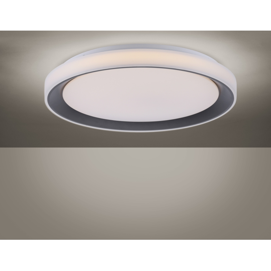 Leuchten Direkt 14659-18 - LED RGB pritemdomas šviestuvas LOLA LED / 24W / 230V Tuya + Valdymo pultas
