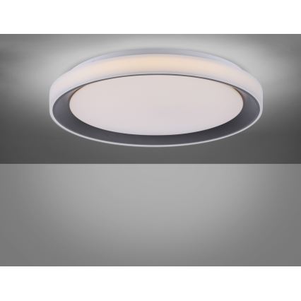 Leuchten Direkt 14659-18 - LED RGB pritemdomas šviestuvas LOLA LED / 24W / 230V Tuya + Valdymo pultas