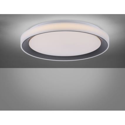 Leuchten Direkt 14659-18 - LED RGB pritemdomas šviestuvas LOLA LED / 24W / 230V Tuya + Valdymo pultas