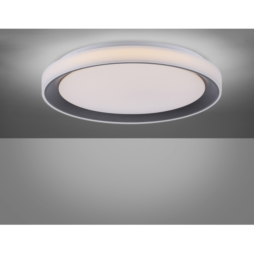 Leuchten Direkt 14659-18 - LED RGB pritemdomas šviestuvas LOLA LED / 24W / 230V Tuya + Valdymo pultas