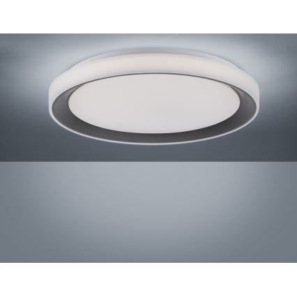 Leuchten Direkt 14659-18 - LED RGB pritemdomas šviestuvas LOLA LED / 24W / 230V Tuya + Valdymo pultas