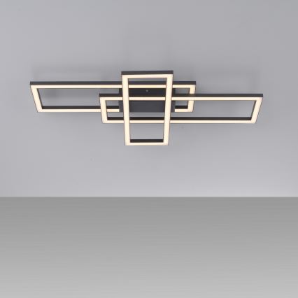 Leuchten Direkt 14697-18 - LED reguliuojamas lubų šviestuvas IVEN LED/24W/230V