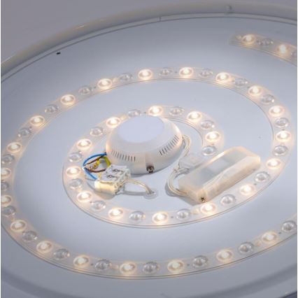 Leuchten Direkt 14822-17 - LED Vonios lubinis šviestuvas su jutikliu LAVINIA LED/40W/230V IP44